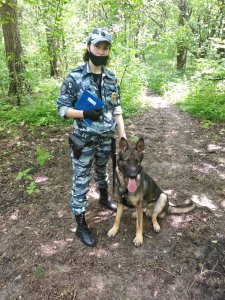 21 июня полицейские кинологи отмечают профессиональный праздник - День Службы 21 июня полицейские кинологи отмечают профессиональный праздник - День Службы