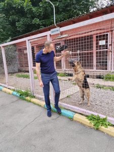 Представитель Общественного совета при УВД по САО положительно оценил работу Центра кинологической службы Представитель Общественного совета при УВД по САО положительно оценил работу Центра кинологической службы